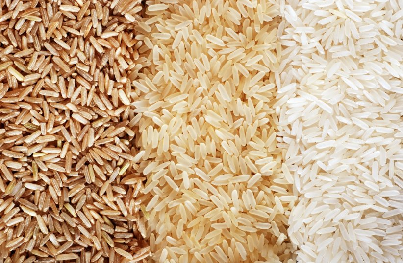 Il existe de nombreuses variétés de riz.