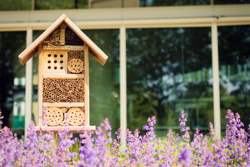 En plus d'être esthétiques, les hôtels à insectes sont utiles à votre jardin et à l'environnement.