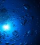 10 choses à savoir sur les abysses océaniques