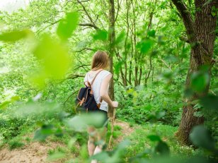 Promenade en forêt : 10 bienfaits non négligeables