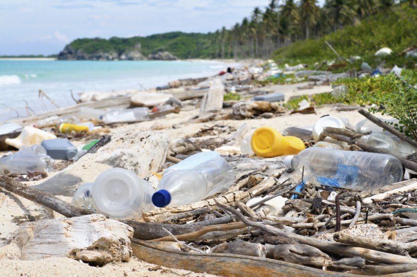 Chaque année, des tonnes de plastique échouent sur les plages du monde entier. Heureusement, il existe aujourd'hui des alternatives.