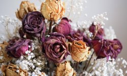 Fleurs fanées : 5 idées pour ne plus jamais les jeter