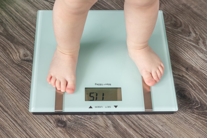 Des leçons importantes sur repas faible calorie