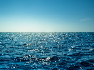 10 choses à savoir sur nos mers et nos océans