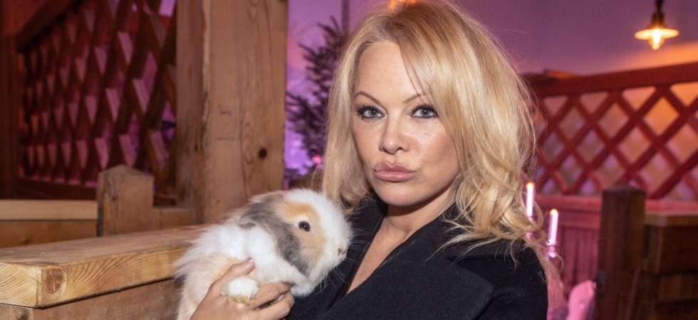 Pamela Anderson demande à Justin Trudeau de devenir vegan