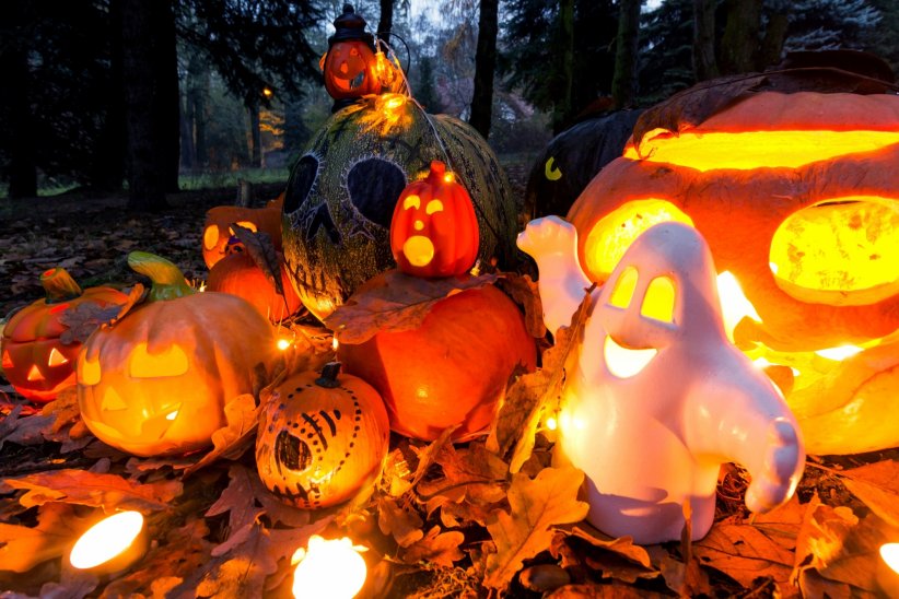 Quand les Américains décorent leur jardin pour Halloween, ils n'y vont pas de main morte.