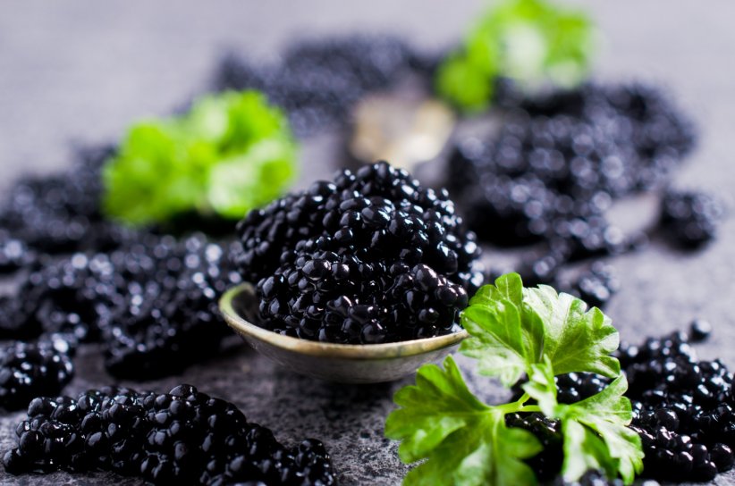 Aliment gastronomique assimilé au luxe, le caviar est élaboré à partir d'oeufs d'esturgeon.