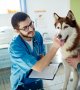Frais de vétérinaires : 5 façons de les payer moins cher