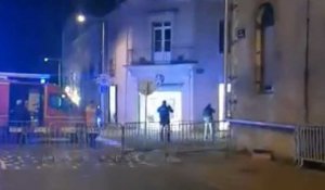 VIDÉO. « C’était impressionnant » : la police abat un sanglier en plein centre-ville de La Roche-sur-Yon