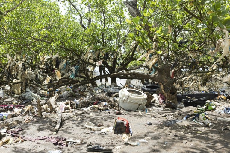 Des déchets dans la mangrove à Koungou, le 1er mai 2023 sur l'île de Mayotte