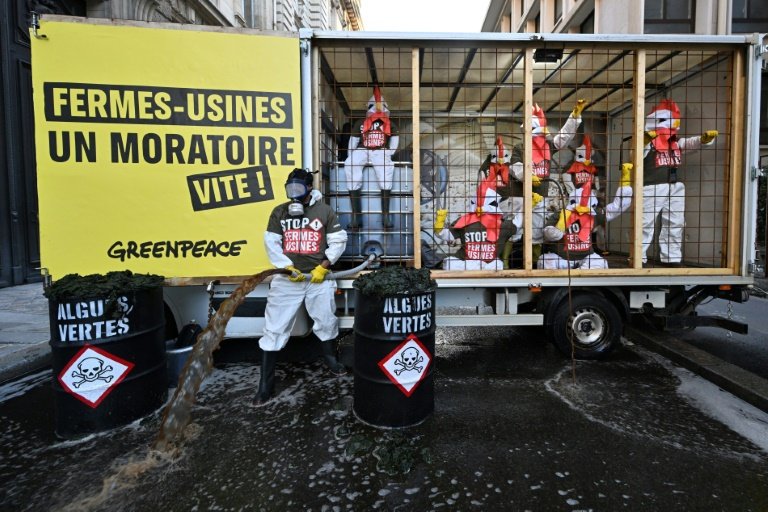 Action de Greenpeace devant le ministère de l'Agriculture, le 20 novembre 2023 à Paris