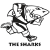 Sharks URC