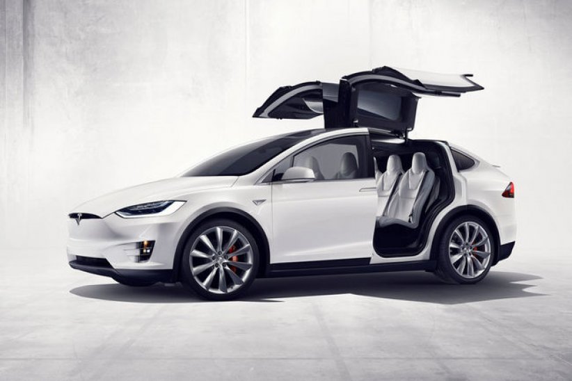 Tesla Model Y : première image