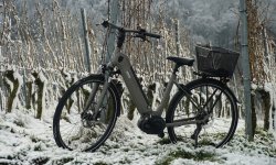 Les vélos électriques au ralenti en hiver ?