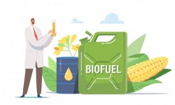 Le biocarburant est-il mauvais pour la planète ?