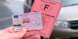 Permis de conduire : combien de Français conservent encore leurs 12 points ? 
