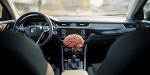 Boîte manuelle ou automatique : laquelle sollicite le plus notre cerveau ? 