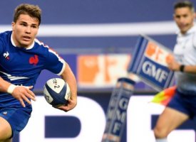 XV de France : Contusion à un mollet pour Antoine Dupont