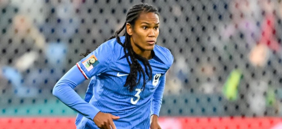 Bleues : Renard blessée au mollet