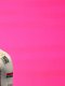 Giro : Quels Français peuvent briller ?