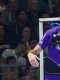 Daikin StarLigue (J2) : Nantes prend le meilleur sur Aix, le PSG a dû batailler