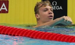 Natation : Marchand s'illustre sur le 400m 4 nages à Westmont