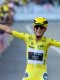 Tour de France (F) : Ferrand-Prévôt, Vollering, Squiban... Les tops/flops de l'édition 2025 