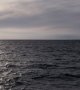 Six femmes traversent l'océan Pacifique à la rame en 80 jours