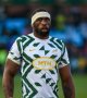 Rugby Championship : Dans la tourmente, Kolisi demeure capitaine des Boks 