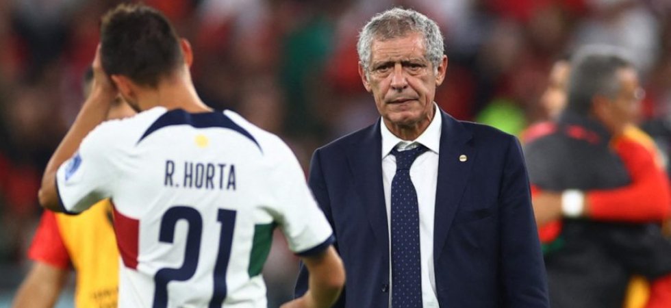 Portugal : Un entraîneur de L1 pour succéder à Fernando Santos ?