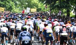 Critérium du Dauphiné (E5) : Une lourde chute, aux graves conséquences ? 