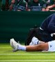 Wimbledon (H) : Pouille forfait pour son 3eme tour 