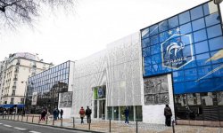 Un supporter lyonnais inspiré pour sauver l'OL 
