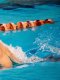 Natation - Chpts d'Europe : Marchand et le relais 4x200 m nage libre enchantent Saint-Denis