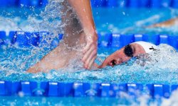 Natation - Mondiaux : Aubry en finale du 1500 m nage libre, Hénique en demies du 50 m 