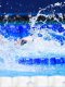 Natation - Championnats d'Europe : Les Bleues au pied du podium sur le 4x100m nage libre