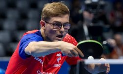 Tennis de table - Euro par équipes (H) : La France déroule et rallie le dernier carré 