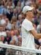 Wimbledon (H) : Revivez les demi-finales 