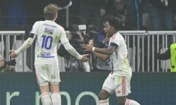 L1 : Endrick, Greenwood ou Sulc ? 