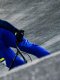 BMX - Mondiaux (H) : Pilard succède à Daudet 