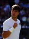 Wimbledon - Alcaraz : « Je ne veux pas m'arrêter là » 