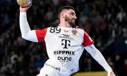 Fabregas quitte Veszprem 