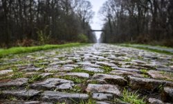Paris-Roubaix : Les chèvres en action dans la Trouée d'Arenberg 