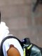 US Open (H) : Auger-Aliassime au tapis !