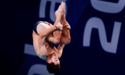 Sports aquatiques - Mondiaux : Bouyer et Bisch décrochent les quotas olympiques, les poloïstes bleues battues 
