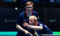 Tennis de table - Championnats d'Europe : Les Lebrun médaillés, mais dans la douleur