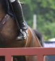 Equitation : Gardeau, championne d'Europe des jeunes, en soins intensifs après une chute