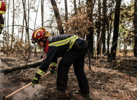 Pyrénées-Orientales : un feu de forêt maîtrisé, 110 hectares brûlés