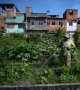 Brésil: à Rio, des potagers géants pour produire du bio en pleine ville