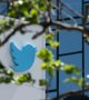 Les faux comptes, au coeur de l'enrayement du rachat de Twitter